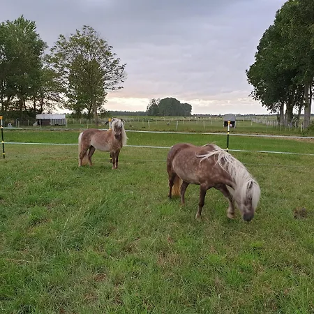 Ihler * Ihlow (Aurich)