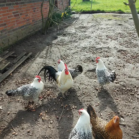 Ihler Ihlow (Aurich)